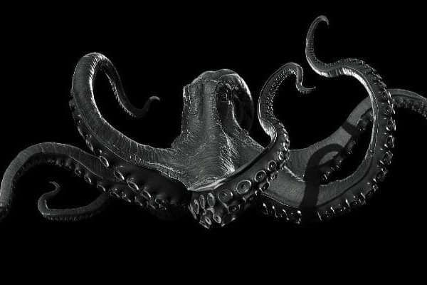 Kraken tor зеркало