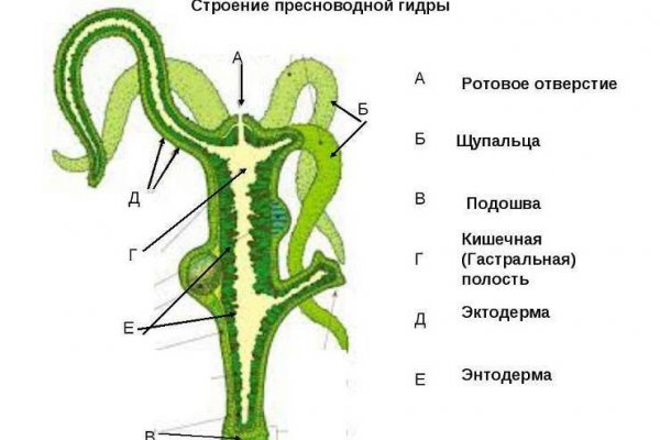 Кракен вход