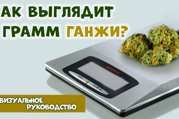 Не могу зайти на кракен